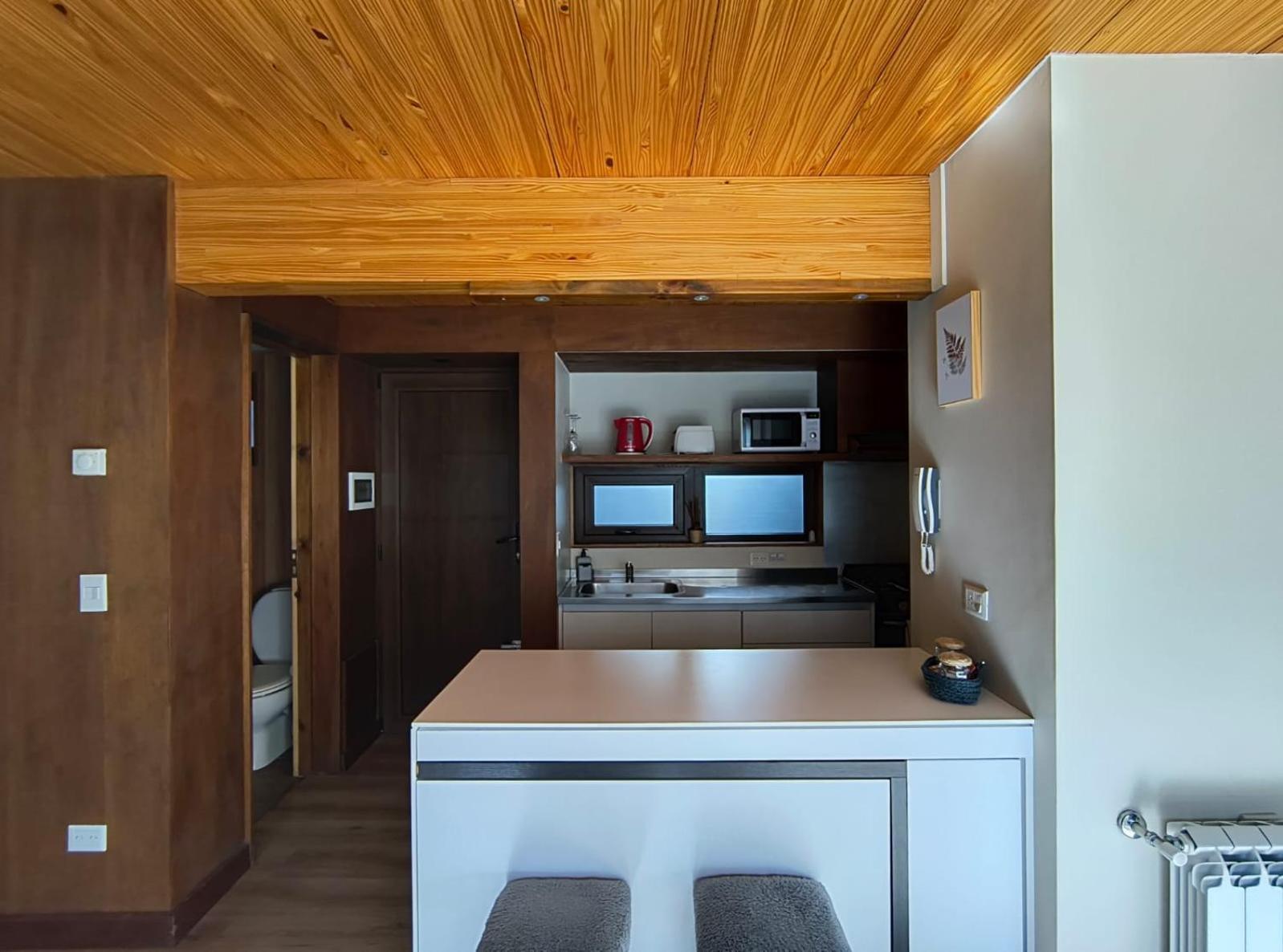 Rahue, Monoambiente Centrico Con Patio Propio Apartment San Martin de los Andes Exterior photo